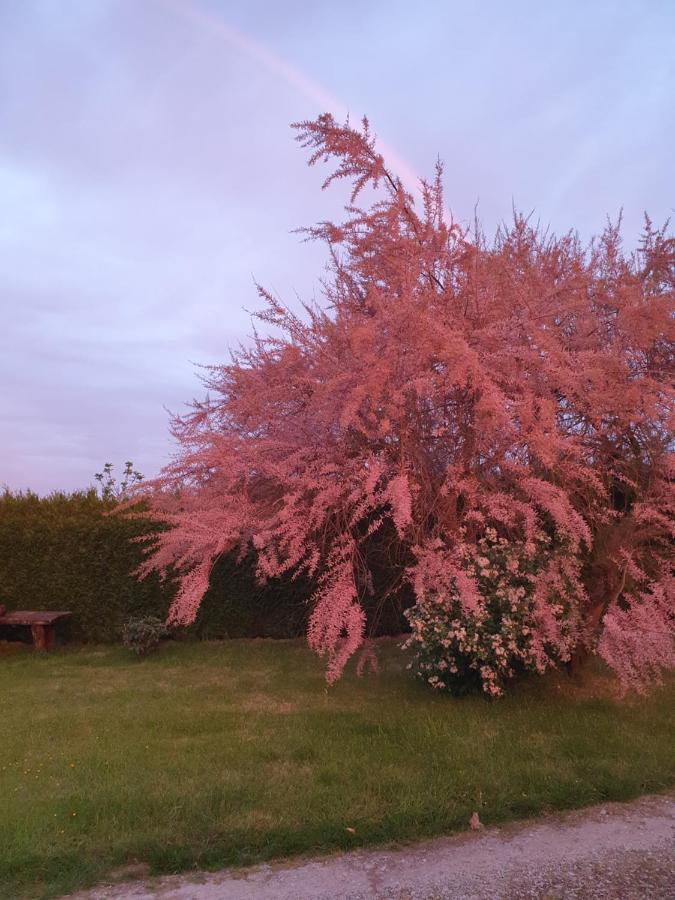 Au Petit Paradis Sainte-Gauburge-Sainte-Colombe Exteriör bild