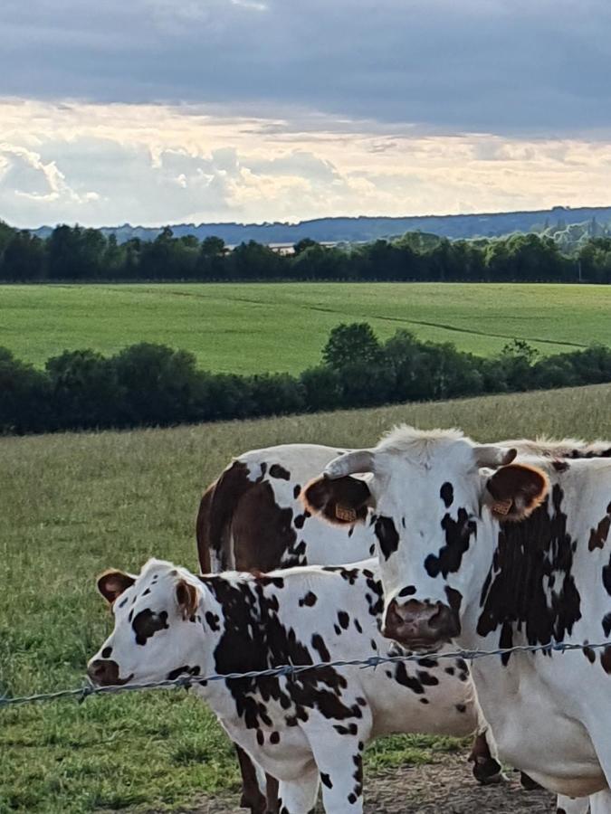 Au Petit Paradis Sainte-Gauburge-Sainte-Colombe Exteriör bild